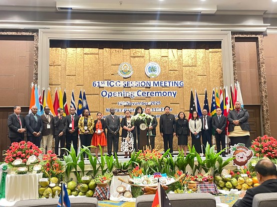 Hiệp hội Dừa Việt Nam dự hội nghị Bộ trưởng lần thứ 61, Cộng đồng dừa quốc tế (international coconut community – ICC)